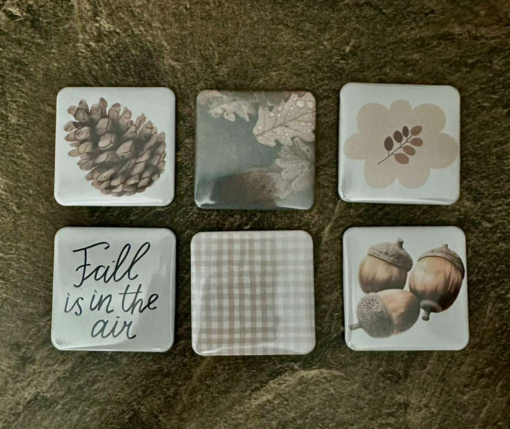 Custom Themed Magnets ( Sets of 6,12,24,48)