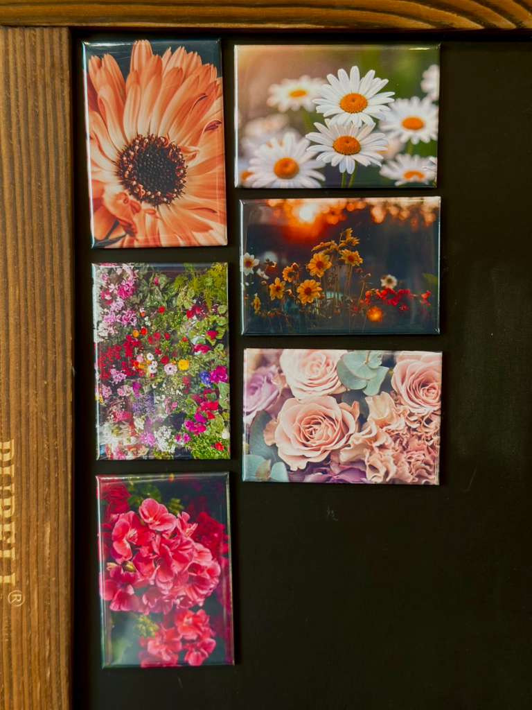 BLOOM INTO SPRING