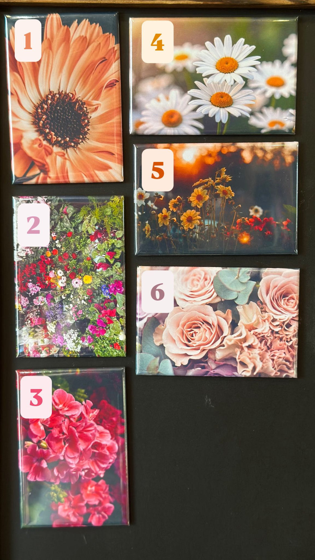 BLOOM INTO SPRING