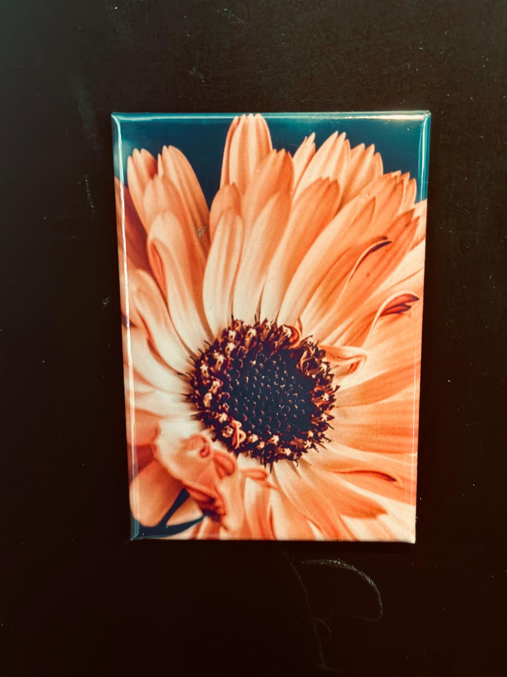 BLOOM INTO SPRING