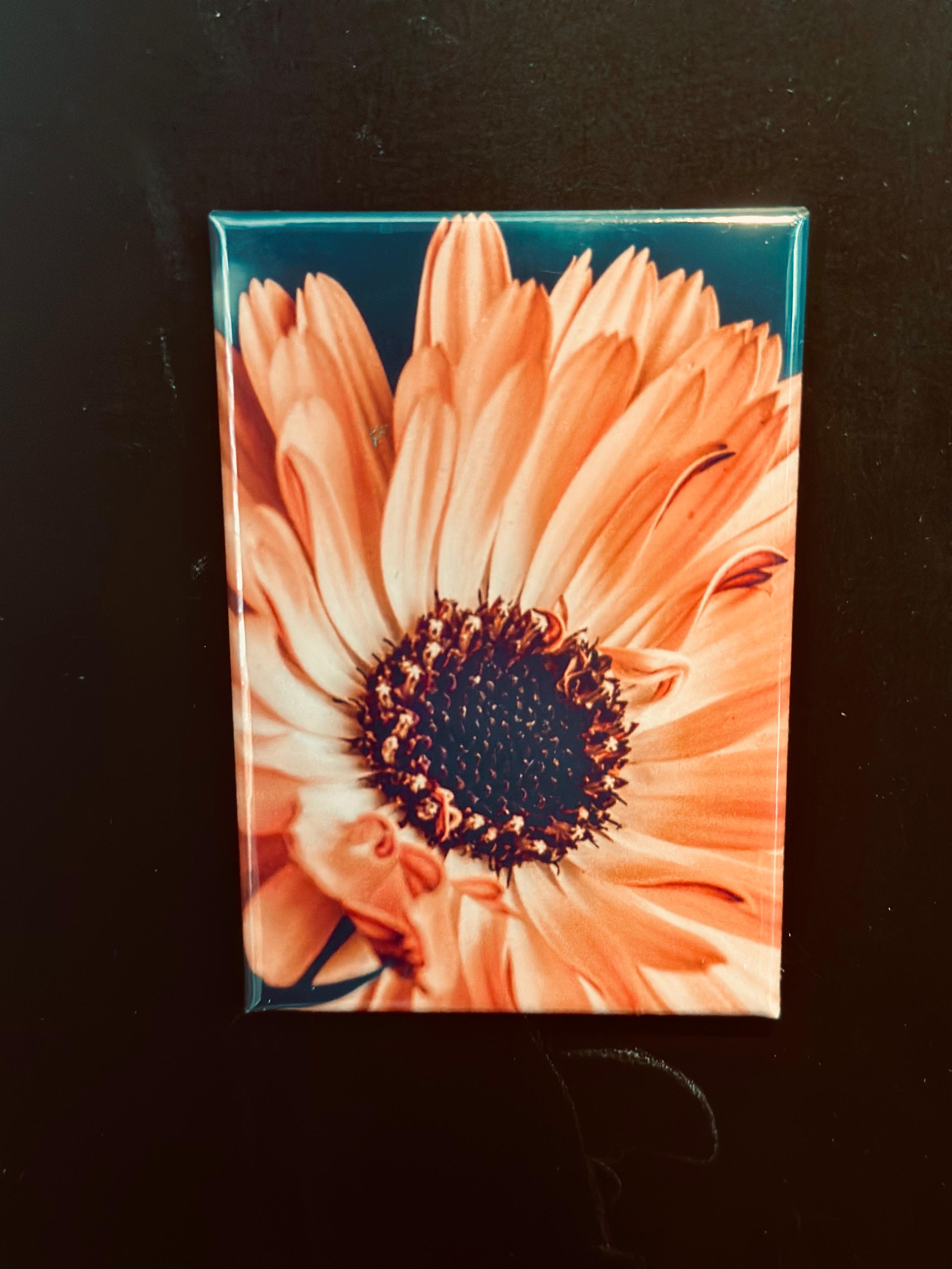 BLOOM INTO SPRING