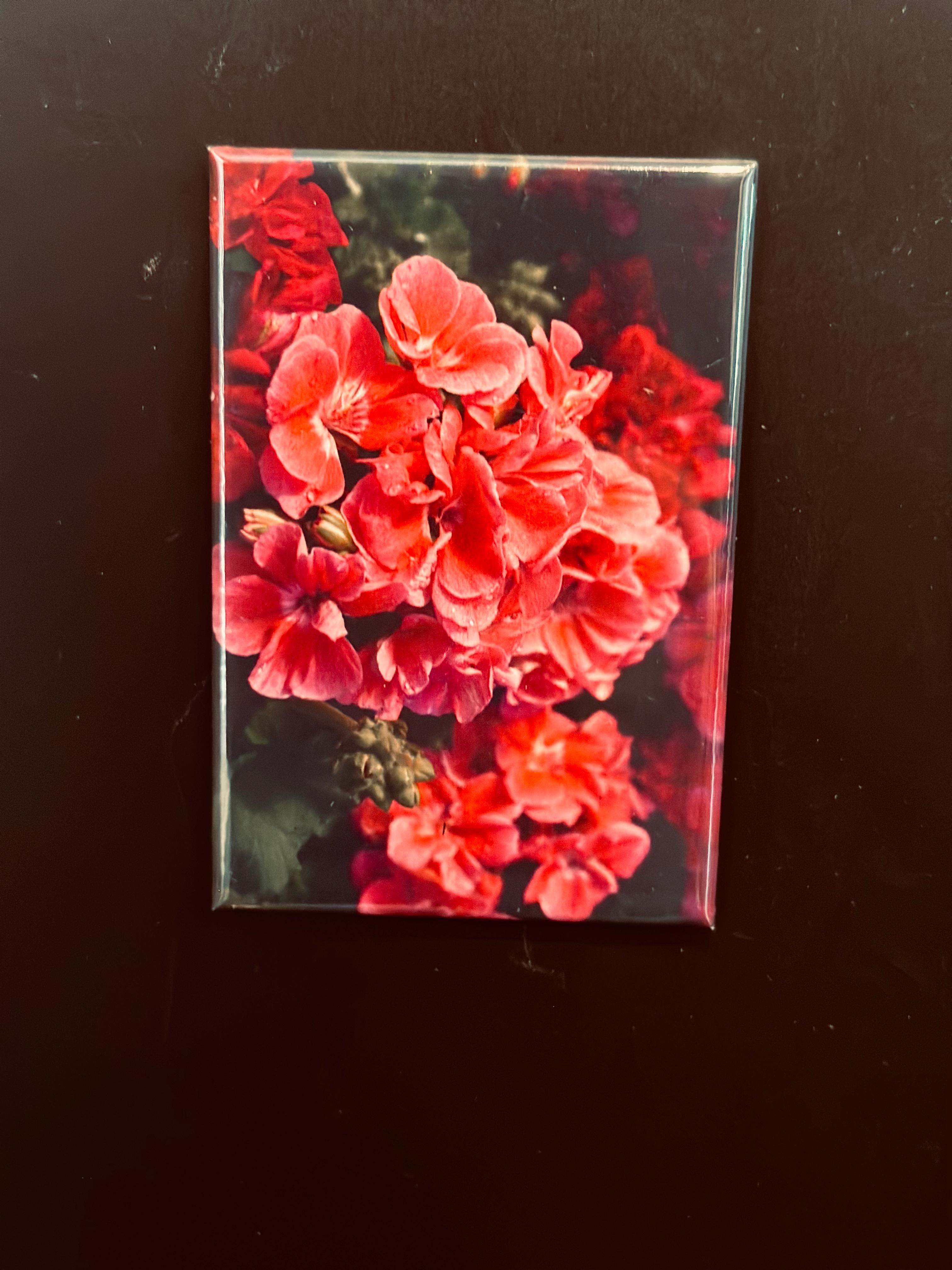 BLOOM INTO SPRING