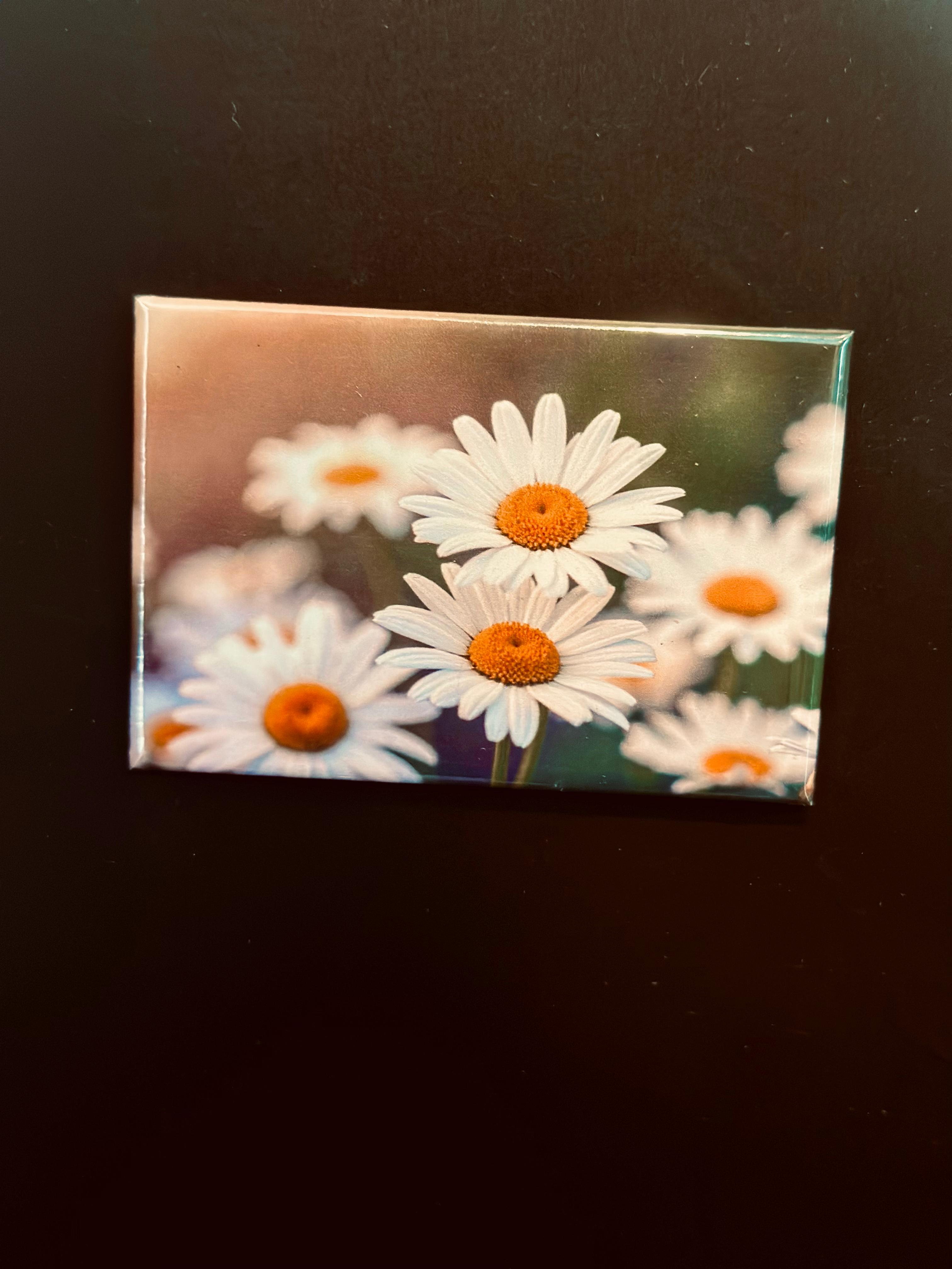 BLOOM INTO SPRING
