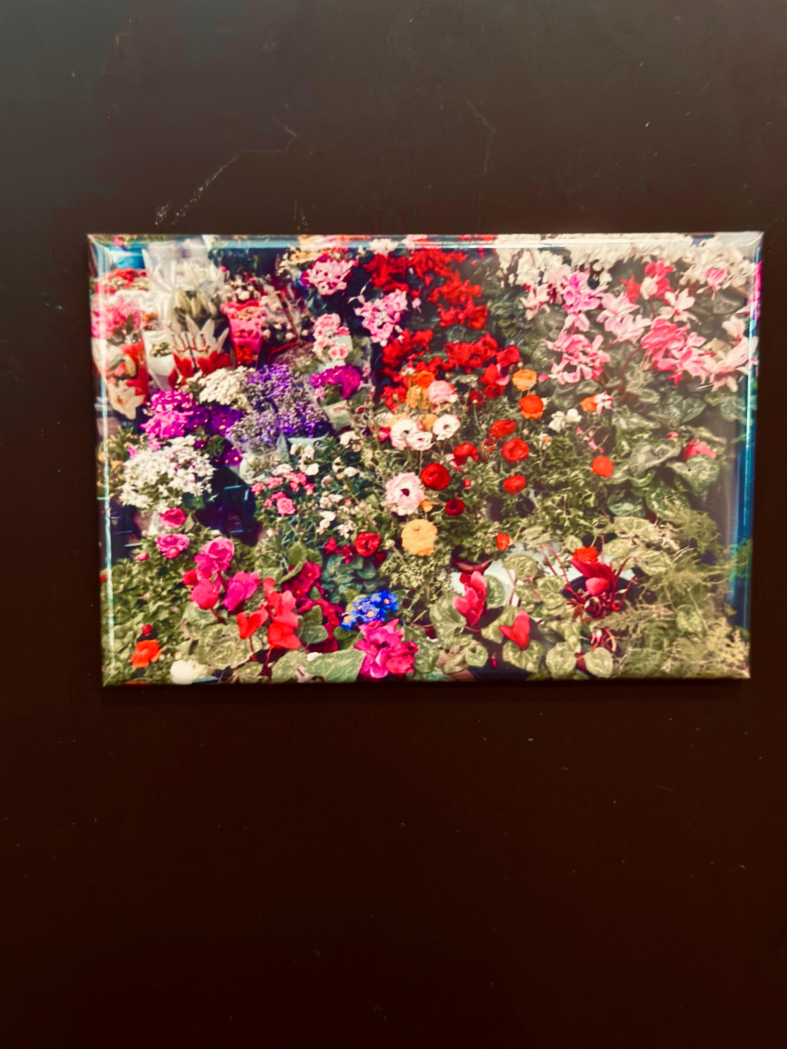 BLOOM INTO SPRING