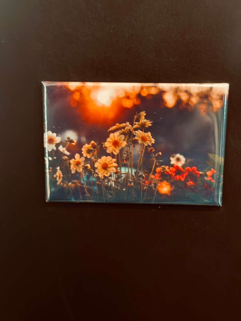 BLOOM INTO SPRING